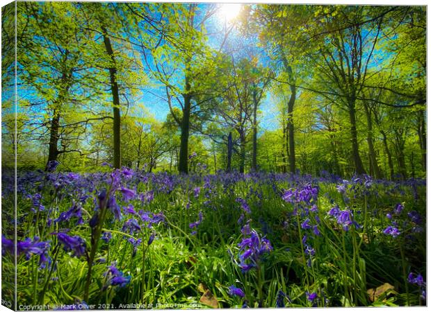 Bluebells in Wanstead Canvas Print by Mark Oliver