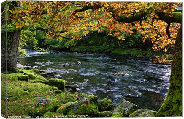 Afon Llugwy Betws-y-Coed North Wales Canvas Print by Ron Thomas