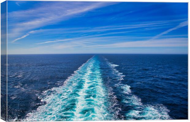 From The Stern of the Ship Canvas Print by Ron Thomas