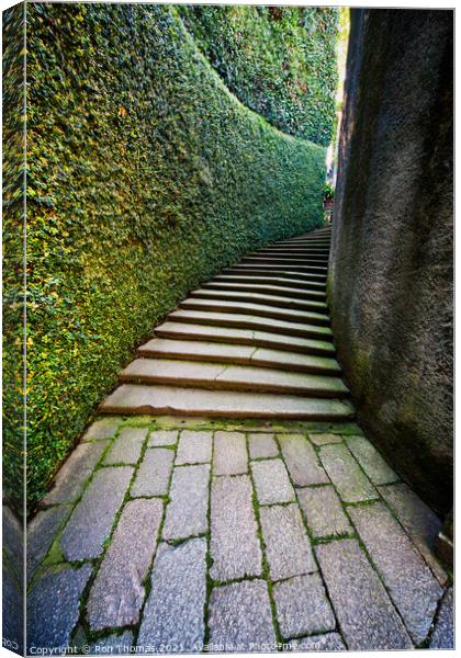 Secluded Path and Steps Canvas Print by Ron Thomas