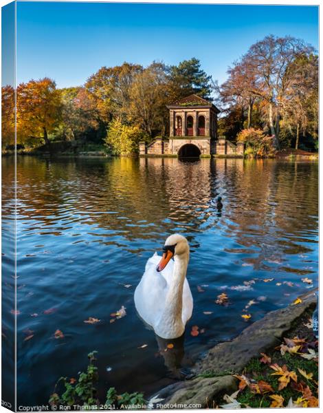 A Swan in front of the Roman Boathouse Canvas Print by Ron Thomas