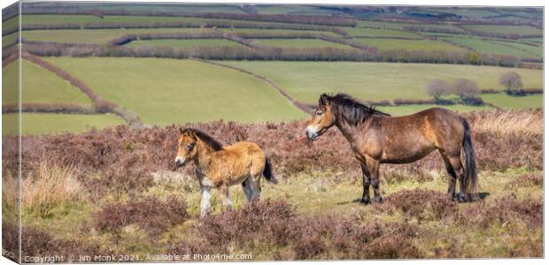 Exmoor Pony and Foal Canvas Print by Jim Monk