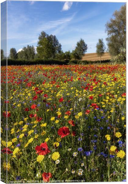 English Wild Flower Meadow Canvas Print by Jim Monk