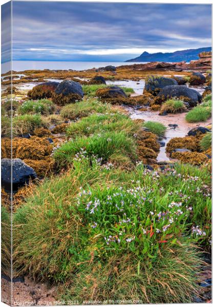 Corrie coast, Isle of Arran Canvas Print by Jim Monk