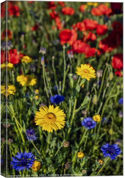 Wildflowers Canvas Print by Jim Monk