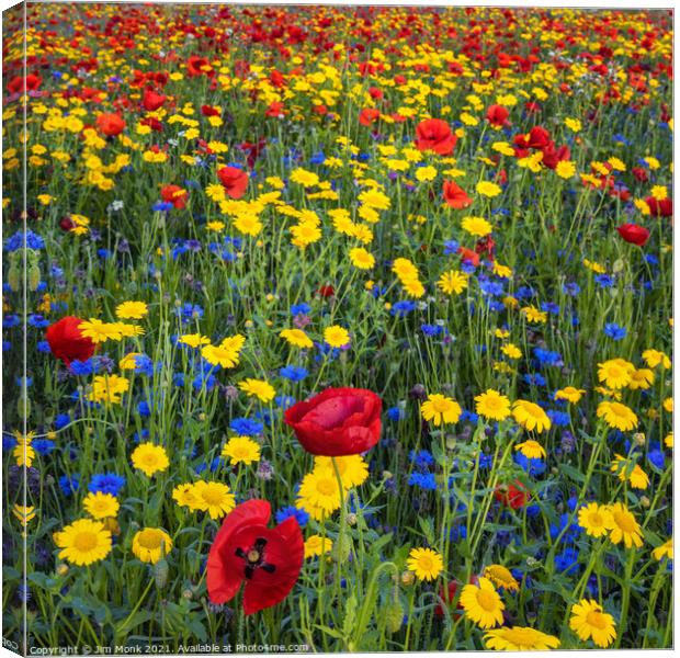 Colourful Wildflowers Canvas Print by Jim Monk