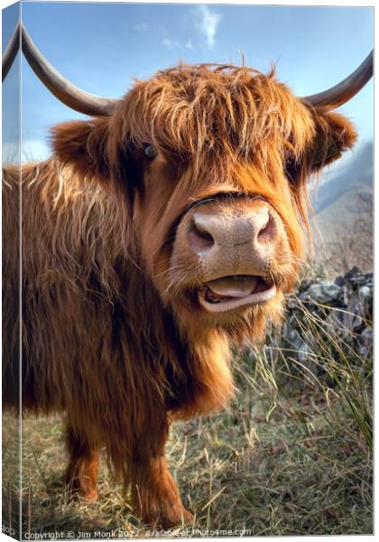 Highland Cow Canvas Print by Jim Monk