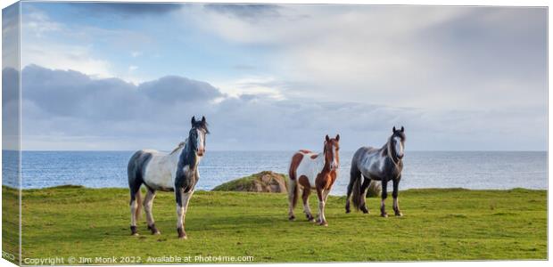 Horses by the sea, Northern Ireland Canvas Print by Jim Monk