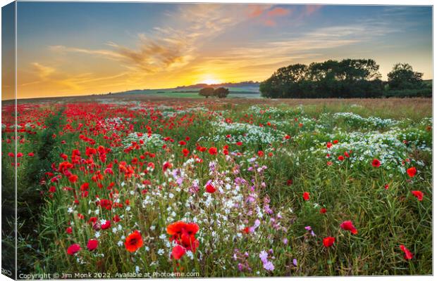 Arreton Poppies, Isle of Wight Canvas Print by Jim Monk