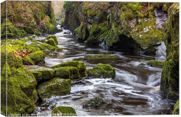 The Fairy Glen, Wales Canvas Print by Jim Monk