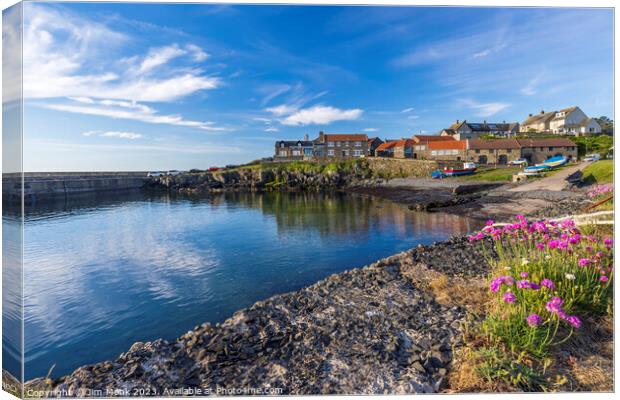 Craster Harbour, Northumberland Canvas Print by Jim Monk