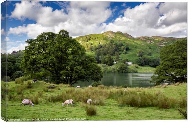 Loughrigg Tarn and Fell Canvas Print by Jim Monk
