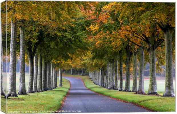 The Enchanted Beech Avenue Canvas Print by Jim Monk