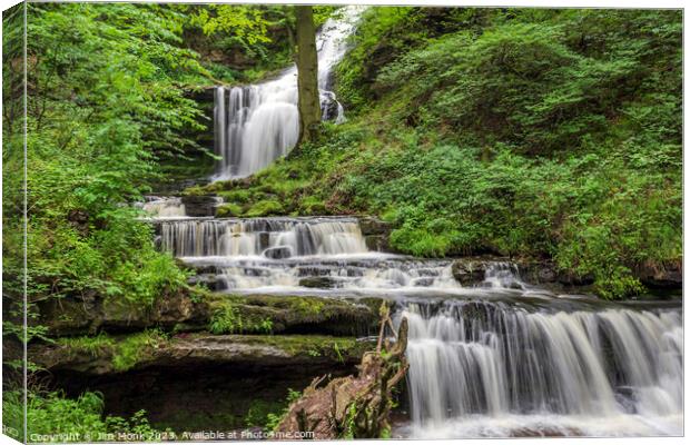 Scaleber Force Canvas Print by Jim Monk