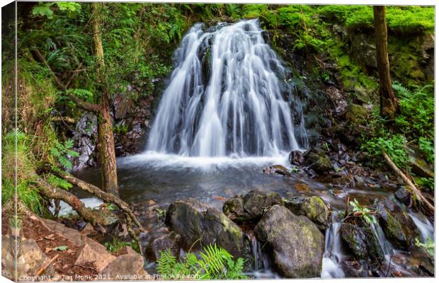 Tom Gill Waterfall Canvas Print by Jim Monk