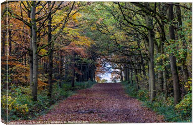 Woodland Path in Leicestershire Canvas Print by Jim Monk