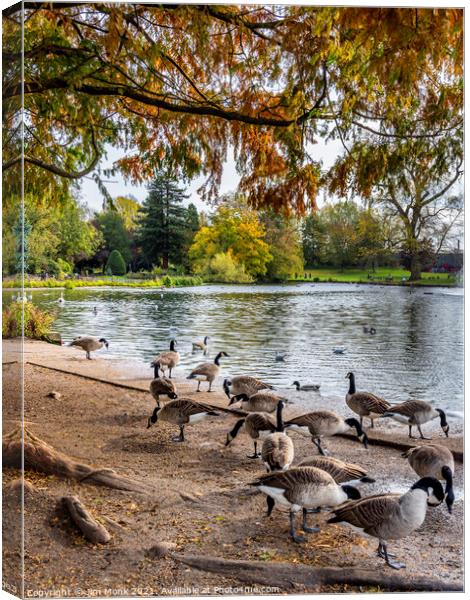 The Boating Lake at Abbey Park in Leicester Canvas Print by Jim Monk