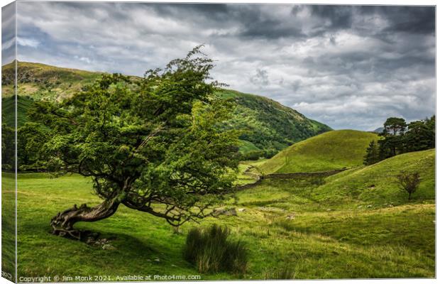 Windswept Tree, Lake District Canvas Print by Jim Monk