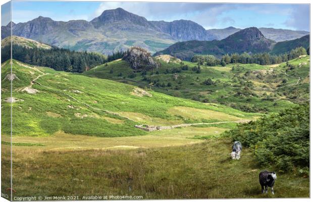 Little Langdale Valley Canvas Print by Jim Monk