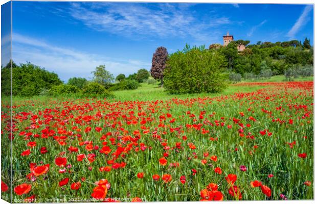 Meadow Poppies, Tuscany Canvas Print by Jim Monk