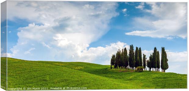 Cypress Tree Copse, Tuscany Canvas Print by Jim Monk