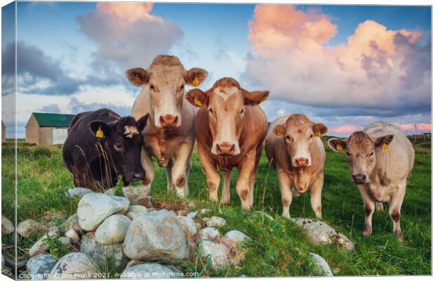 Five Cows Canvas Print by Jim Monk