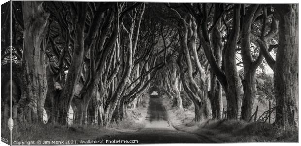 Dark Hedges Canvas Print by Jim Monk