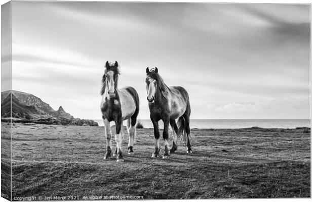 Horses by the sea Canvas Print by Jim Monk