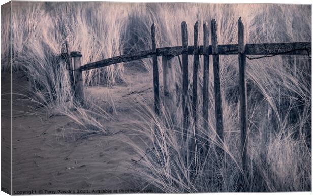 Broken Fence Canvas Print by Tony Gaskins