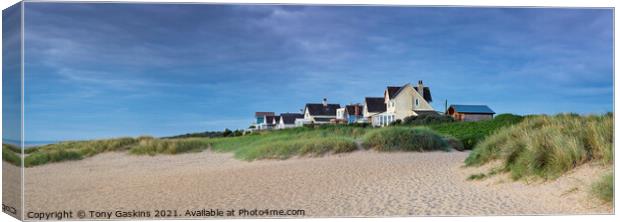 Beach Houses, Lincolnshire Canvas Print by Tony Gaskins