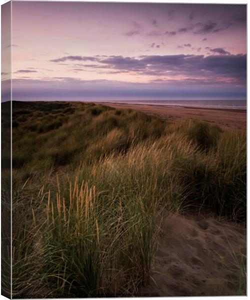Light on the Dunes Canvas Print by Tony Gaskins