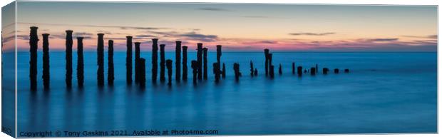 Dawn, Spurn Point East Yorkshire Canvas Print by Tony Gaskins