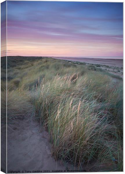 Light on the Dunes, Lincolnshire  Canvas Print by Tony Gaskins