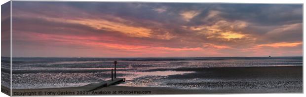 Sunrise, River Humber Canvas Print by Tony Gaskins