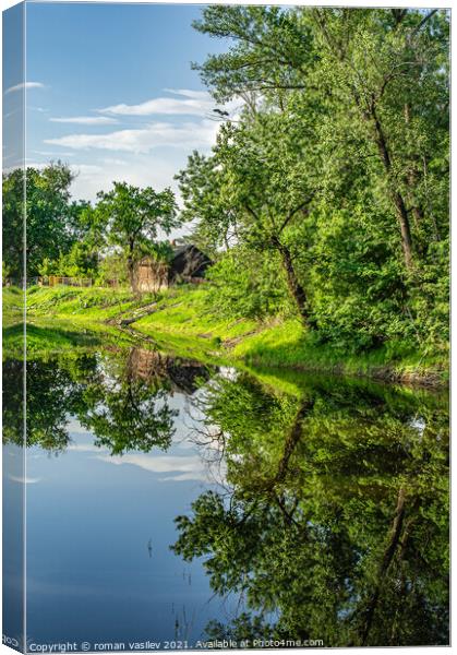 Plant tree Canvas Print by roman vasilev