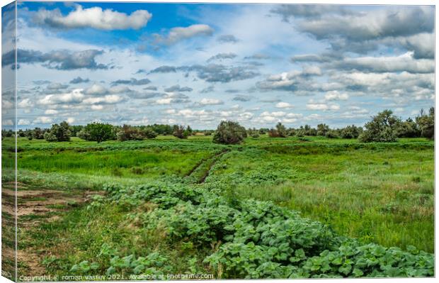 Outdoor field Canvas Print by roman vasilev