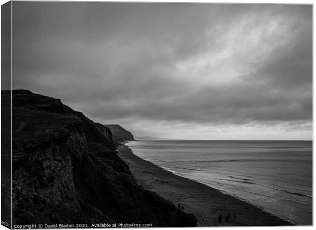 Along the Jurassic Coast Canvas Print by David Bladen