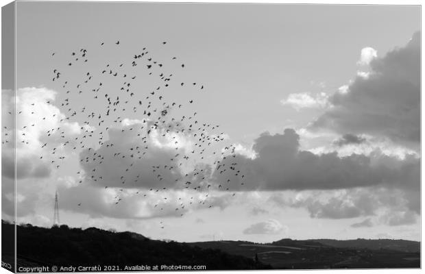 Sky cloud with  flock of birds in Sicily, Serradif Canvas Print by Andy Huckleberry Williamson III