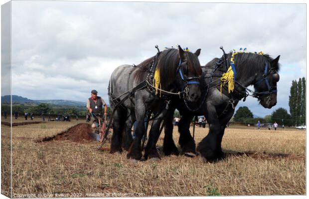 Ploughing Championship. Canvas Print by Glyn Evans