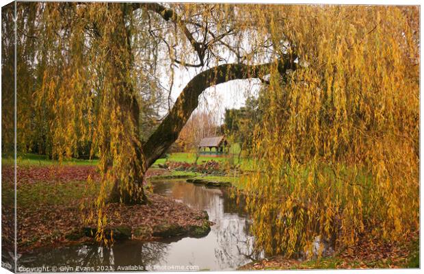 Willow Tree. Canvas Print by Glyn Evans