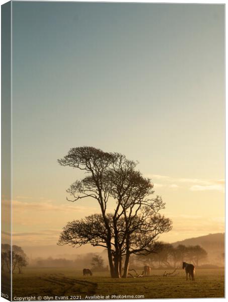 Early morning. Canvas Print by Glyn Evans