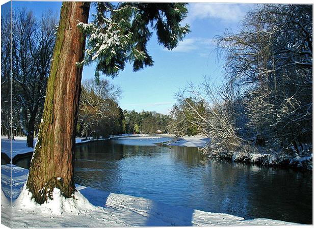 Brueton lake Canvas Print by Simon Curtis