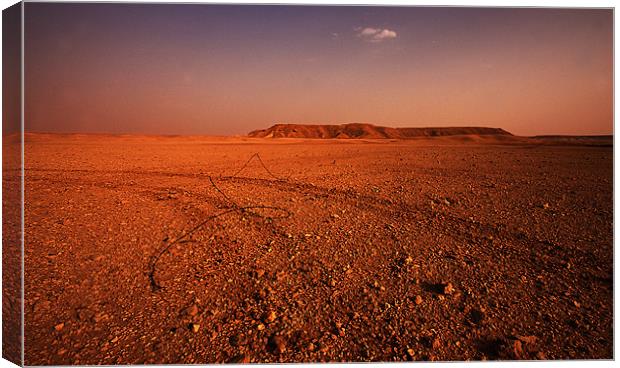 Tracks in the desert Canvas Print by Simon Curtis