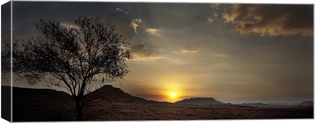 Desert Sunset Canvas Print by Simon Curtis