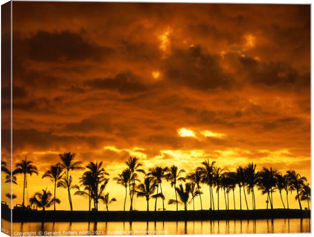 Palm trees at sunset, Kailua-Kona, The Big Island, Hawaii, USA Canvas Print by Geraint Tellem ARPS
