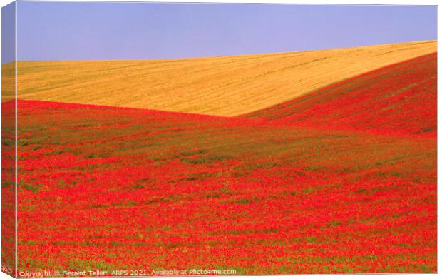 Poppies and wheat, South Downs, East Sussex, England Canvas Print by Geraint Tellem ARPS