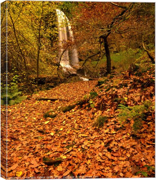 Melincourt waterfall in autumn, nr Ystradfellte, Neath valley, Wales Canvas Print by Geraint Tellem ARPS