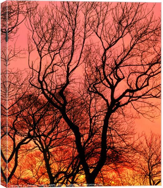 Tree at sunset, Kent, UK Canvas Print by Geraint Tellem ARPS