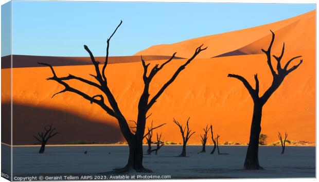 Dead Vlei desiccated trees, Sossusvlei, Namibia, Africa Canvas Print by Geraint Tellem ARPS