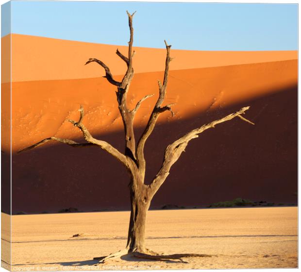 Dead Vlei desiccated trees, Sossusvlei, Namibia, Africa Canvas Print by Geraint Tellem ARPS